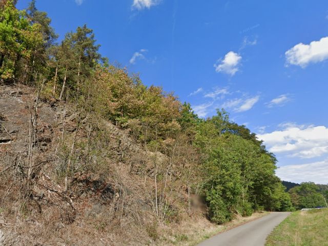 Blick auf die Verkaufsfläche - Vertragsfreie Waldfläche in Hanglage **etwa 8 km von der Bayerischen Landesgrenze entfernt**