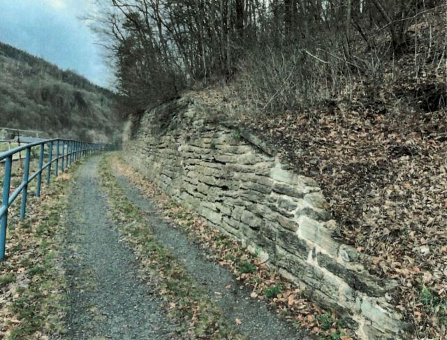 Verkaufsfläche mit Stützmauer und Umgebung (Aufnahme 2023) - Vertragsfreie Waldfläche in Hanglage **etwa 8 km von der Bayerischen Landesgrenze entfernt**