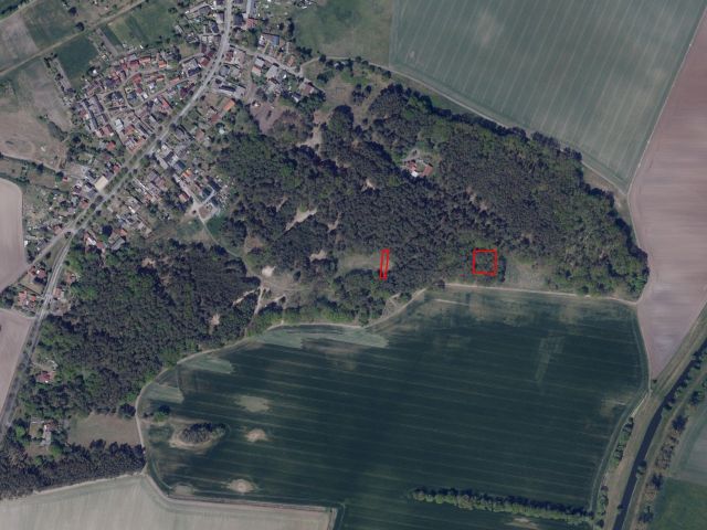 Lage des Verkaufsgegenstandes - Zwei vertragsfreie Waldflächen bei Sieversdorf