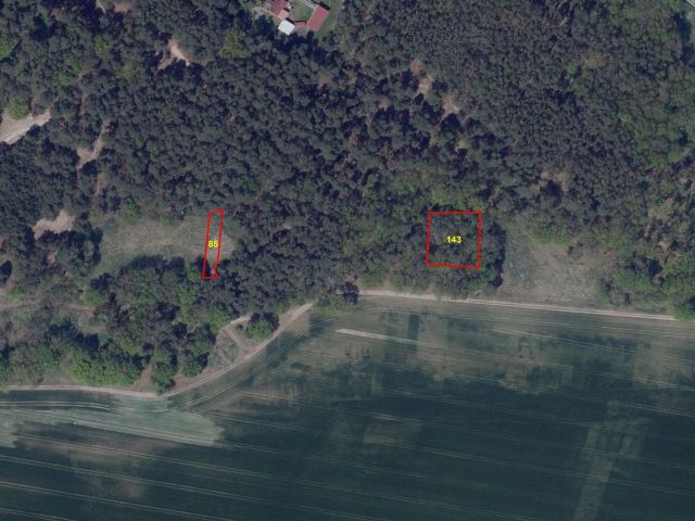 Lage des Verkaufsgegenstandes - Zwei vertragsfreie Waldflächen bei Sieversdorf