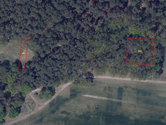 Verkaufsgegenstand - Zwei vertragsfreie Waldflächen bei Sieversdorf