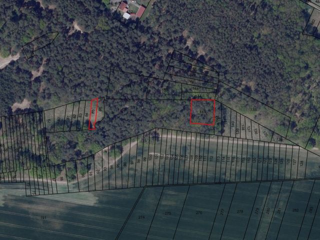 Lageskizze - Zwei vertragsfreie Waldflächen bei Sieversdorf