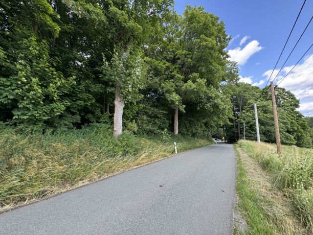 Umgebung - Verwildertes Grundstück mit Resten ehemaliger Stallgebäude **vertragsfrei**