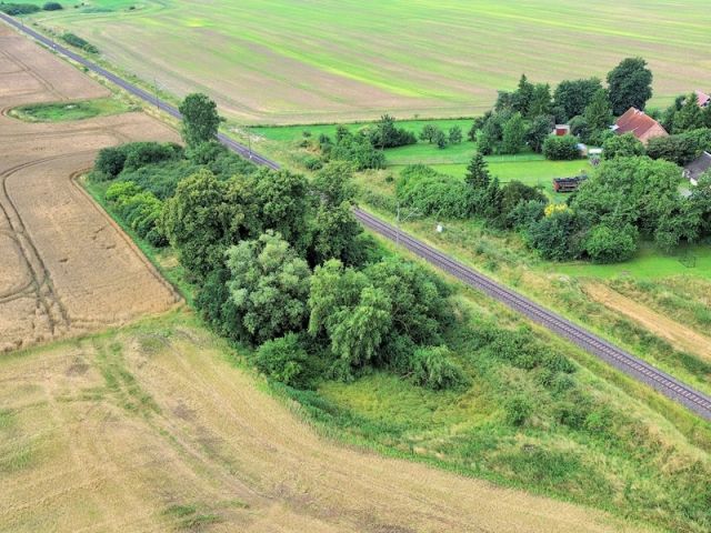 Blick auf Verkaufsfläche und Umgebung - Vertragsfreie mit Wildwuchs und Gehölzen bewachsene Fläche an der Bahntrasse im Landkreis Mecklenburgische Seenplatte