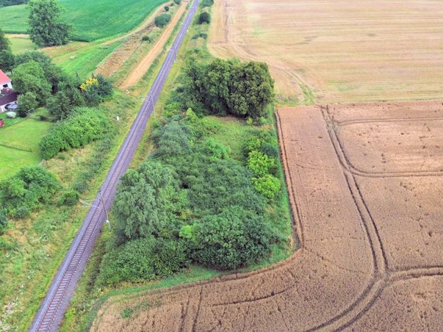 Blick auf Verkaufsfläche und Umgebung - Vertragsfreie mit Wildwuchs und Gehölzen bewachsene Fläche an der Bahntrasse im Landkreis Mecklenburgische Seenplatte