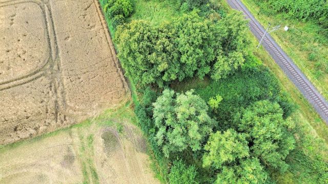Blick auf Verkaufsfläche und Umgebung - Vertragsfreie mit Wildwuchs und Gehölzen bewachsene Fläche an der Bahntrasse im Landkreis Mecklenburgische Seenplatte