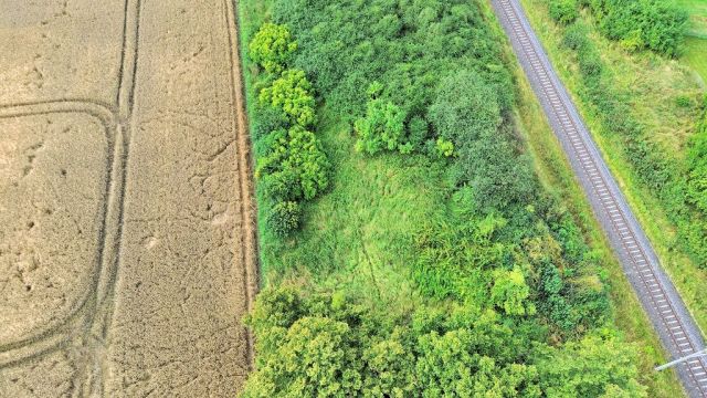 Blick auf Verkaufsfläche und Umgebung - Vertragsfreie mit Wildwuchs und Gehölzen bewachsene Fläche an der Bahntrasse im Landkreis Mecklenburgische Seenplatte
