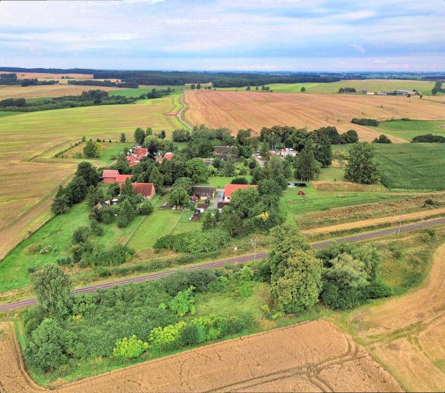 Blick auf Verkaufsfläche und Umgebung - Vertragsfreie mit Wildwuchs und Gehölzen bewachsene Fläche an der Bahntrasse im Landkreis Mecklenburgische Seenplatte
