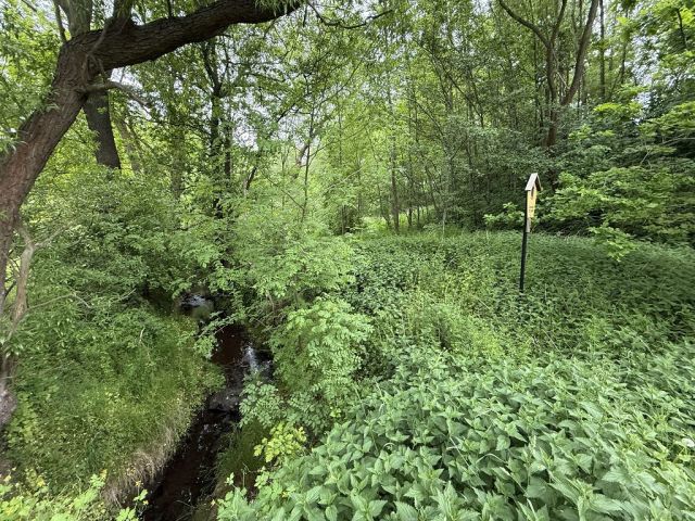 Blick auf Verkaufsfläche mit dem 