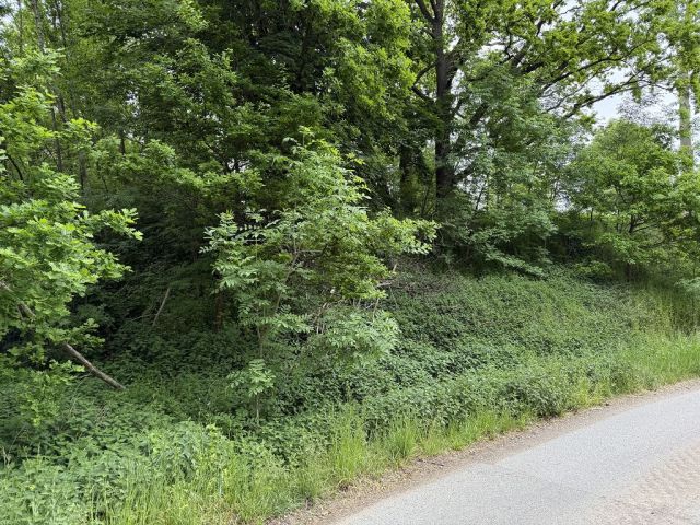 Blick auf Verkaufsfläche und Umgebung - Waldfläche und kleine Wegefläche in Chemnitz