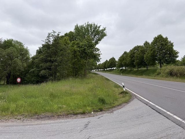 Blick auf Mittweidaer Straße und abzweigenden Weg - Waldfläche und kleine Wegefläche in Chemnitz