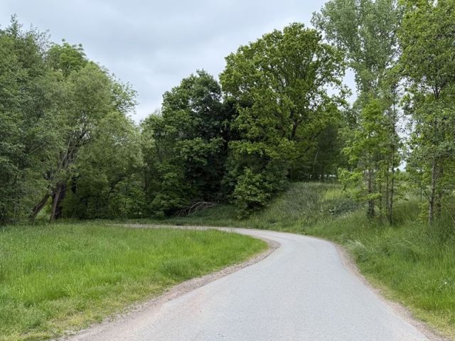 Blick auf Zuwegung Richtung Verkaufsfläche und auf die Umgebung - Waldfläche und kleine Wegefläche in Chemnitz