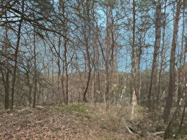 Blick auf Flurstück 82/6 und Umgebung - Zwei Wald-/Splitterflächen an der A7 nördlich von Hannover