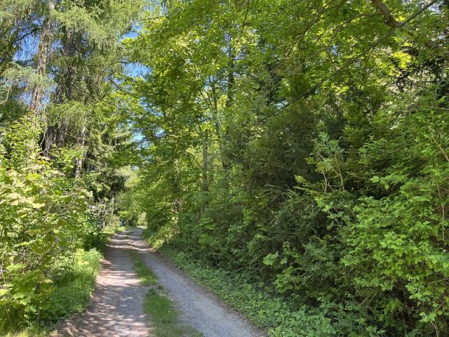 Blick in die Straße - Wochenendgrundstück mit Resten ehemaliger Bebauung **vertragsfrei**
