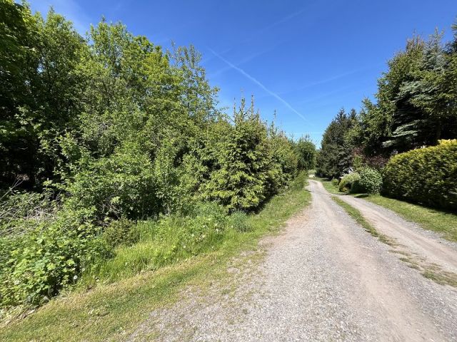 Blick in die Straße - Verkaufsgegenstand links - Ehemaliges Wochenendhausgrundstück in Hanglage **vertragsfrei**