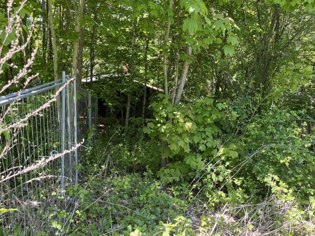 Südlicher Bereich des Grundstückes - Ehemaliges Wochenendhausgrundstück in Hanglage **vertragsfrei**