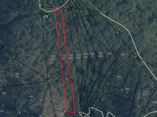 Lageskizze - Waldfläche oberhalb der Mosel am Aussichtspunkt Ediger Eller