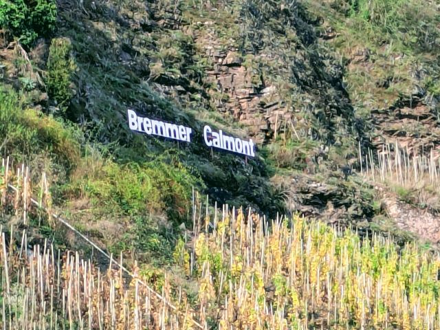 Blick auf die Umgebung - Waldfläche oberhalb der Mosel am Aussichtspunkt Ediger Eller