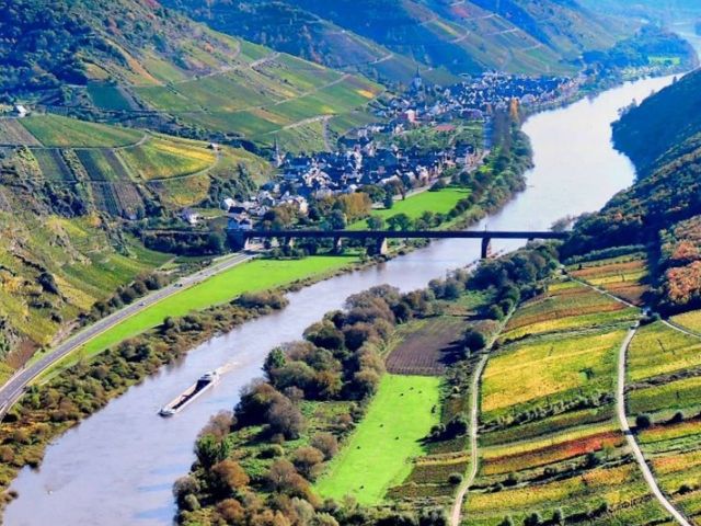 Blick auf die Umgebung - Waldfläche oberhalb der Mosel am Aussichtspunkt Ediger Eller