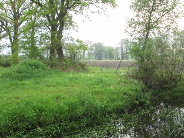 Blick auf die Verkaufsfläche und Umgebung - Vertragsfreie kleine Grünfläche nahe der A 28 und etwa 11 km von der Oldenburger Innenstadt entfernt