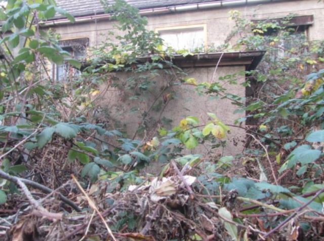 Hauseingangsbereich - Ruinöses ehemaliges Einfamilienhaus in Elsteraue **ca. 8 km nordwestlich von Zeitz**