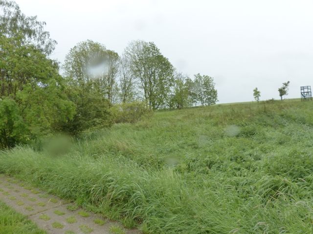 Lage des Verkaufsgegenstandes - Vertragsfreie Waldfläche **ehemals Teil der Siedlung namens „Stöckigt“**