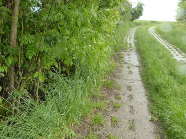 Paschersteig - Vertragsfreie Waldfläche **ehemals Teil der Siedlung namens „Stöckigt“**