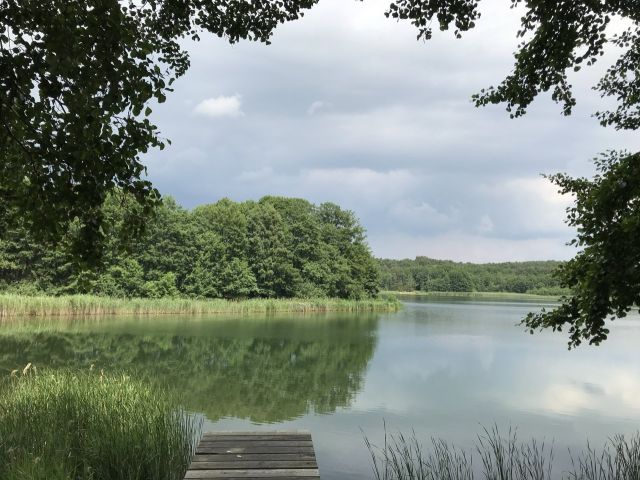 Blick zur Südufer Halbinsel (Aufnahme vom Verkäufer) - Unbebautes Grundstück im Grünen am Pinnower See bei Schenkendöbern neben einem Wochenendhausgebiet