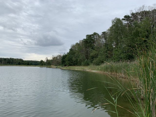 Ufer des Pinnower See (Aufnahme 2020) - Unbebautes Grundstück im Grünen am Pinnower See bei Schenkendöbern neben einem Wochenendhausgebiet