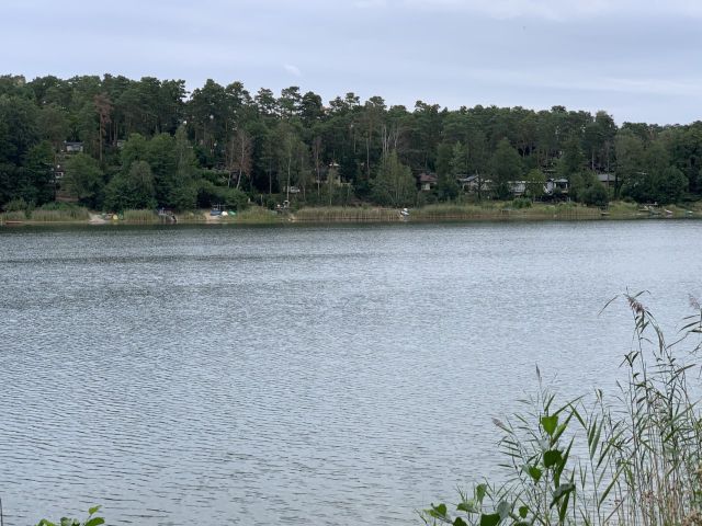 Blick auf den Pinnower See (Aufnahme 2020) - Unbebautes Grundstück im Grünen am Pinnower See bei Schenkendöbern neben einem Wochenendhausgebiet