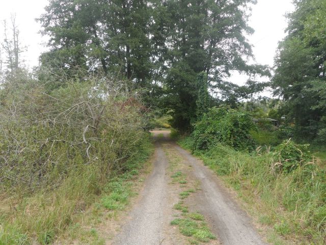 Blick zum Verkaufsgegenstand (Aufnahme 2020) - Unbebautes Grundstück im Grünen am Pinnower See bei Schenkendöbern neben einem Wochenendhausgebiet