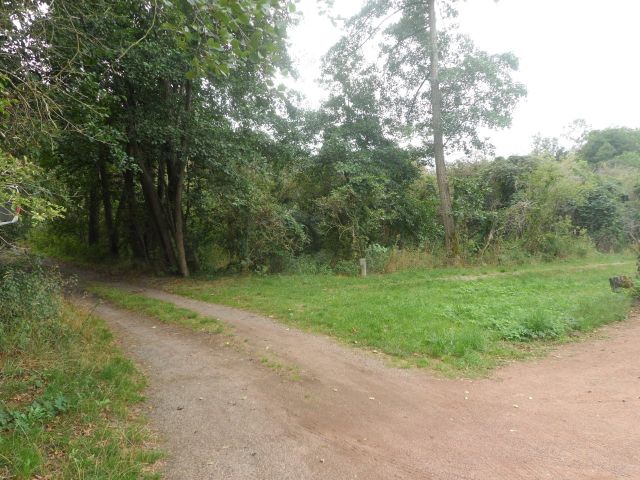 Blick zum Verkaufsgegenstand (Aufnahme 2020) - Unbebautes Grundstück im Grünen am Pinnower See bei Schenkendöbern neben einem Wochenendhausgebiet