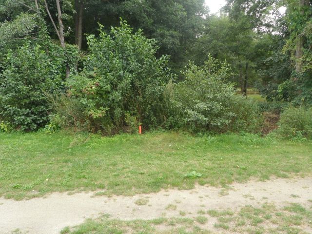 Blick zum Verkaufsgegenstand (Aufnahme 2020) - Unbebautes Grundstück im Grünen am Pinnower See bei Schenkendöbern neben einem Wochenendhausgebiet