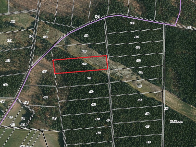 Holzungsfläche im nördlichen Randbereich des Spreewaldes und nördlich des ´Byhleguhrer Sees´