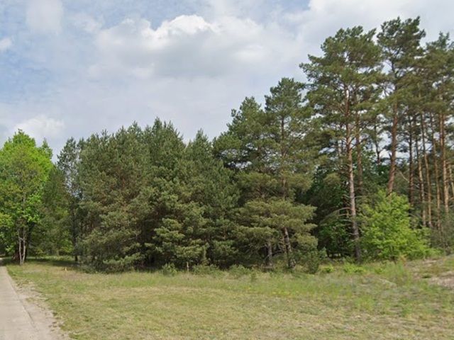 Blick auf Verkaufsfläche und Umgebung - Vertragsfreies Grundstück nahe des ´Wolziger Sees´ sowie etwa 31 km südöstlich der Berliner Stadtgrenze