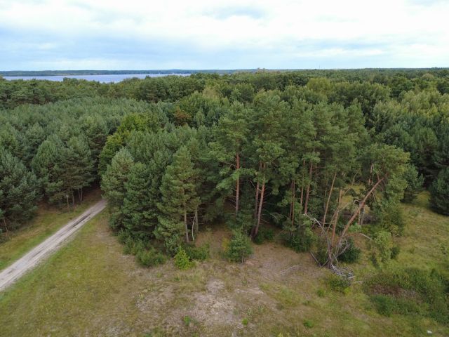 Blick auf Verkaufsfläche und Umgebung - Vertragsfreies Grundstück nahe des ´Wolziger Sees´ sowie etwa 31 km südöstlich der Berliner Stadtgrenze