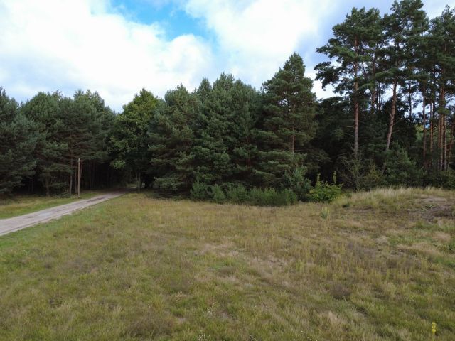 Blick auf Verkaufsfläche und Umgebung - Vertragsfreies Grundstück nahe des ´Wolziger Sees´ sowie etwa 31 km südöstlich der Berliner Stadtgrenze