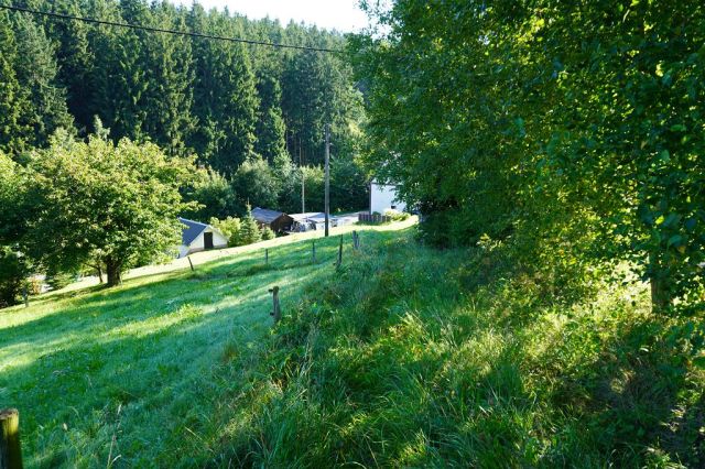 Blick vom Verkaufsgegenstand auf die Umgebung - Großes Grundstück mit baufälligem Wohnhaus in idyllischer, ruhiger Lage im Erzgebirge