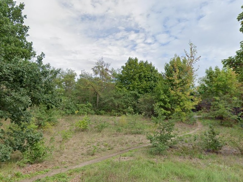 Vertragsfreie, naturbelassene Freifläche in Hoyerswerda