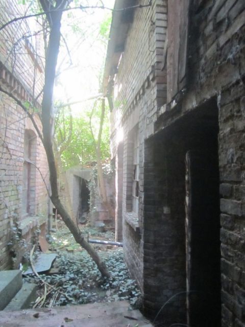 Blick über den Hof nach Südwest - Ruinöses Wohnhaus nordwestlich von Halle (Saale)