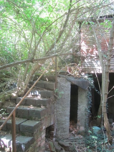 Hofansicht an der Südwestgrenze, Treppe zum ehemaligen Gartenbereich, rechts ruinöses Nebengelass - Ruinöses Wohnhaus nordwestlich von Halle (Saale)