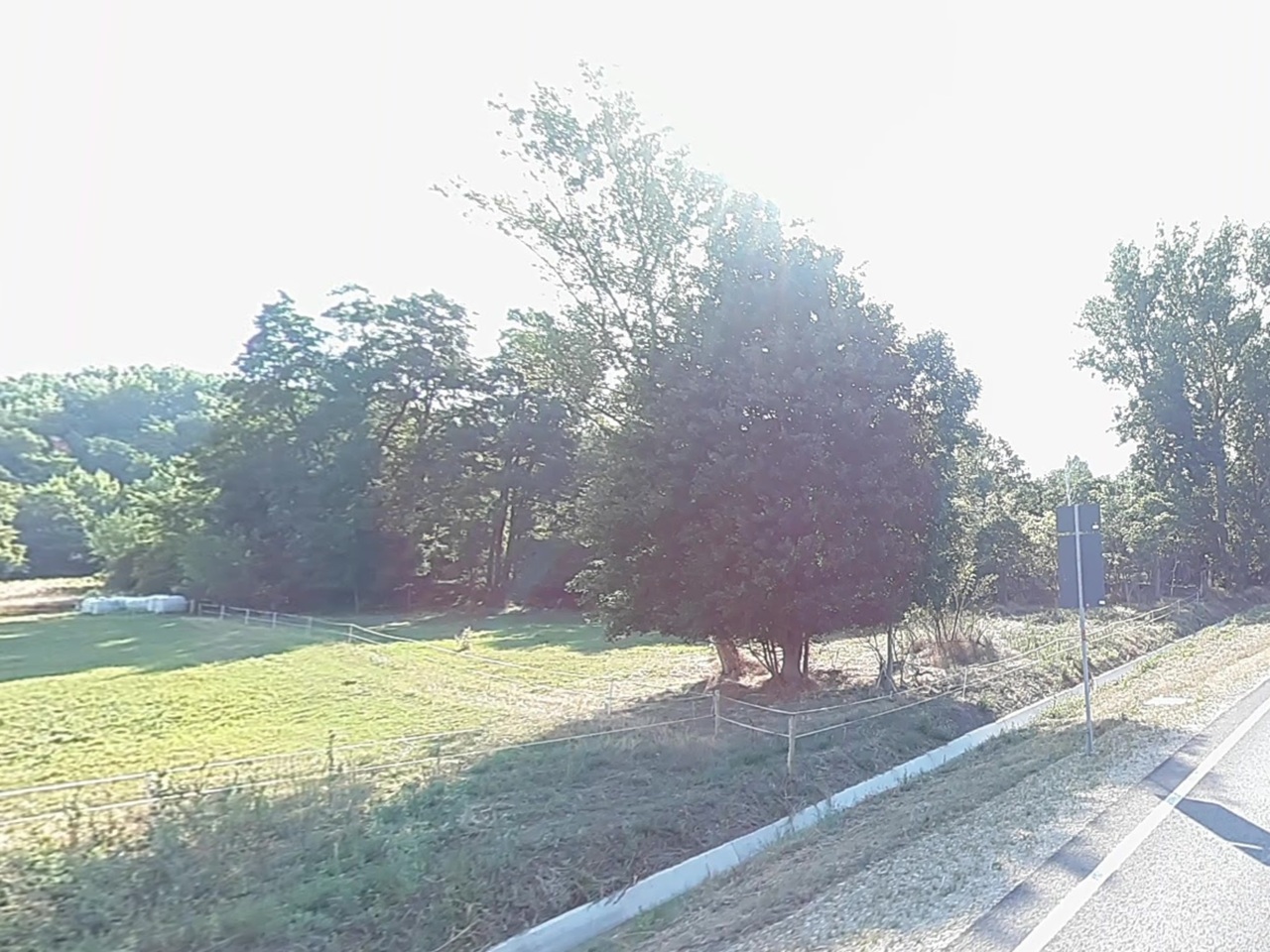 Straßenbegleitfläche (Teilfläche) an der B91 **teilweise verpachtet und teilweise vertragslos genutzt**