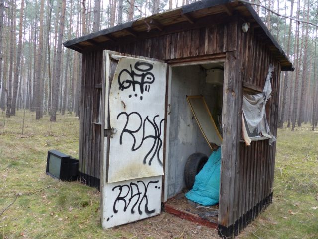 Ruinöse Holzhütte - Vertragsfreie Waldfläche am östlichen Ortsrand von Borkwalde neben und gegenüber von bebauten Grundstücken