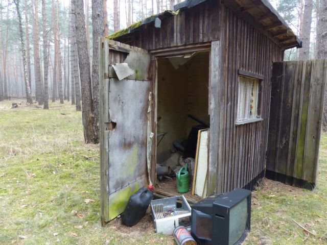 Ruinöse Holzhütte - Vertragsfreie Waldfläche am östlichen Ortsrand von Borkwalde neben und gegenüber von bebauten Grundstücken