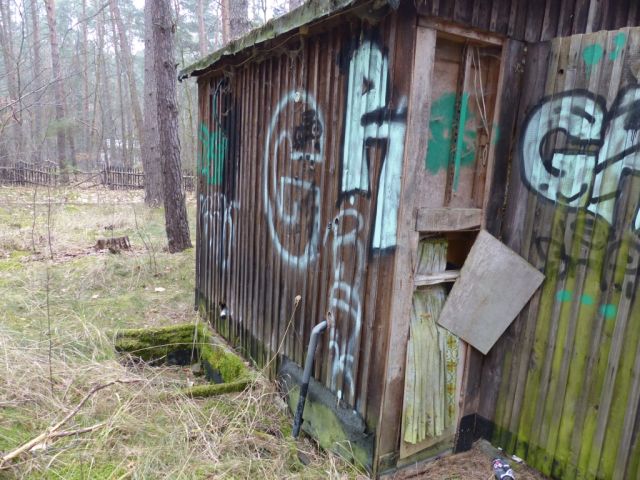 Ruinöse Holzhütte - Vertragsfreie Waldfläche am östlichen Ortsrand von Borkwalde neben und gegenüber von bebauten Grundstücken