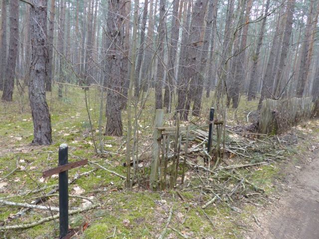 Blick auf Verkaufsfläche südliche Grundstücksgrenze und Umgebung - Vertragsfreie Waldfläche am östlichen Ortsrand von Borkwalde neben und gegenüber von bebauten Grundstücken