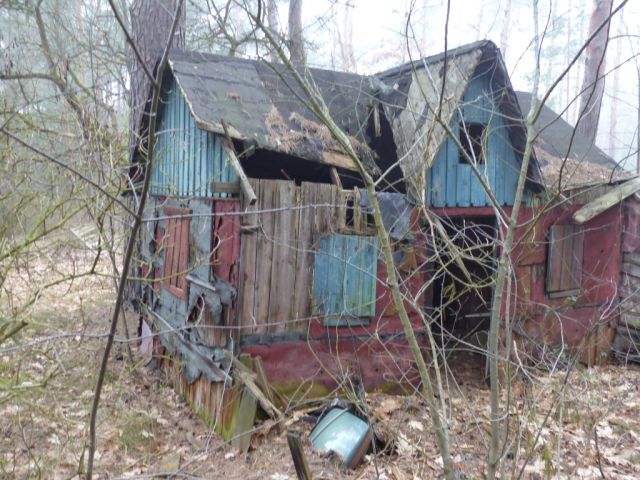 Ruinöse Holzhütte - Vertragsfreie Waldfläche angrenzend an bebaute Grundstücke unweit des Ortskerns von Borkwalde