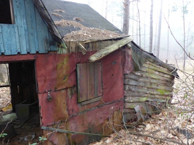 Ruinöse Holzhütte - Vertragsfreie Waldfläche angrenzend an bebaute Grundstücke unweit des Ortskerns von Borkwalde