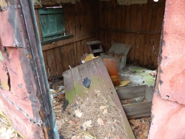 Ablagerungen in der Holzhütte - Vertragsfreie Waldfläche angrenzend an bebaute Grundstücke unweit des Ortskerns von Borkwalde