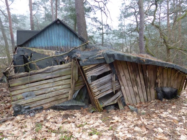 Ruinöse Holzhütte - Vertragsfreie Waldfläche angrenzend an bebaute Grundstücke unweit des Ortskerns von Borkwalde